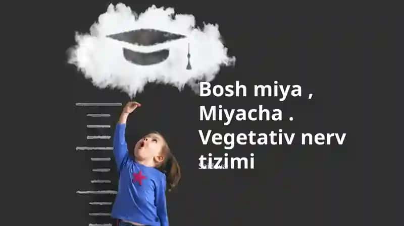 Vegetativ nerv tizimi