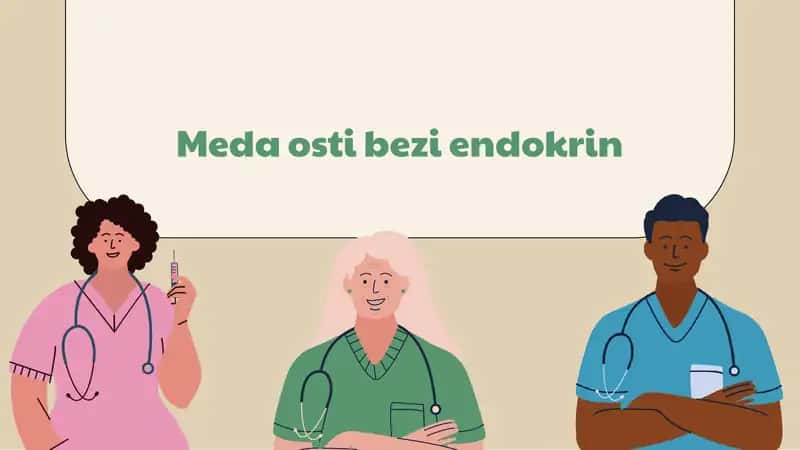 Meda osti bezi 1
