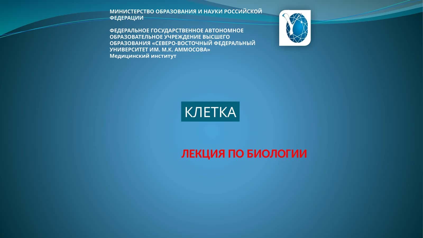 КЛЕТКА 1