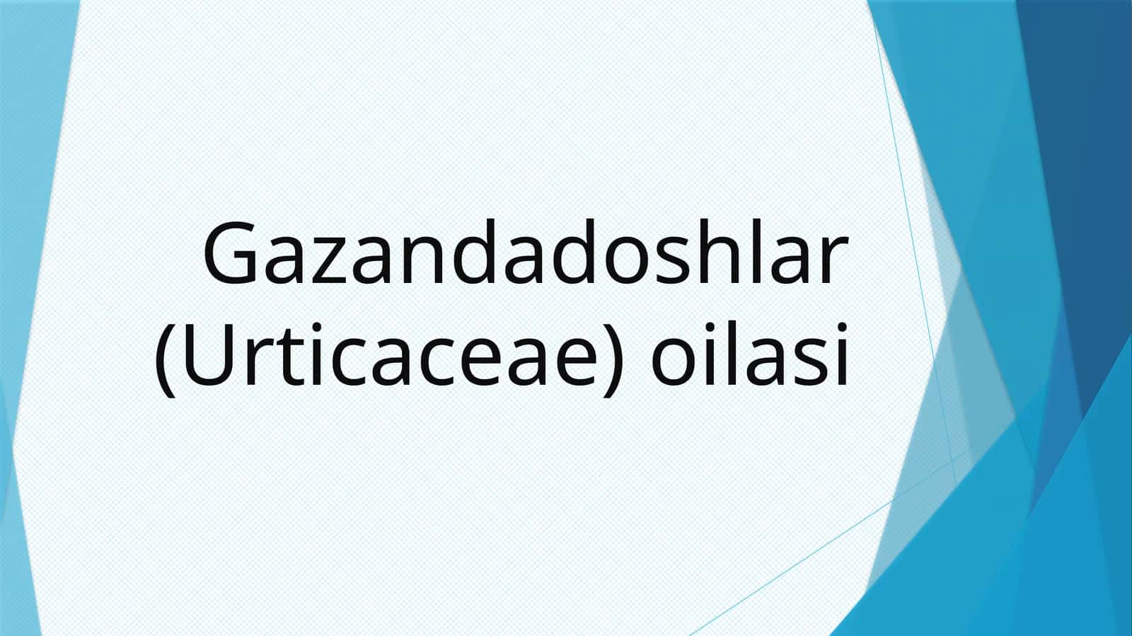 Gazandadoshlar(Urticaceae)oilasi 1