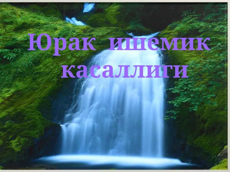 Юрак ишемик касаллиги 1