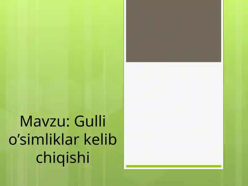 Gulli O'simliklar