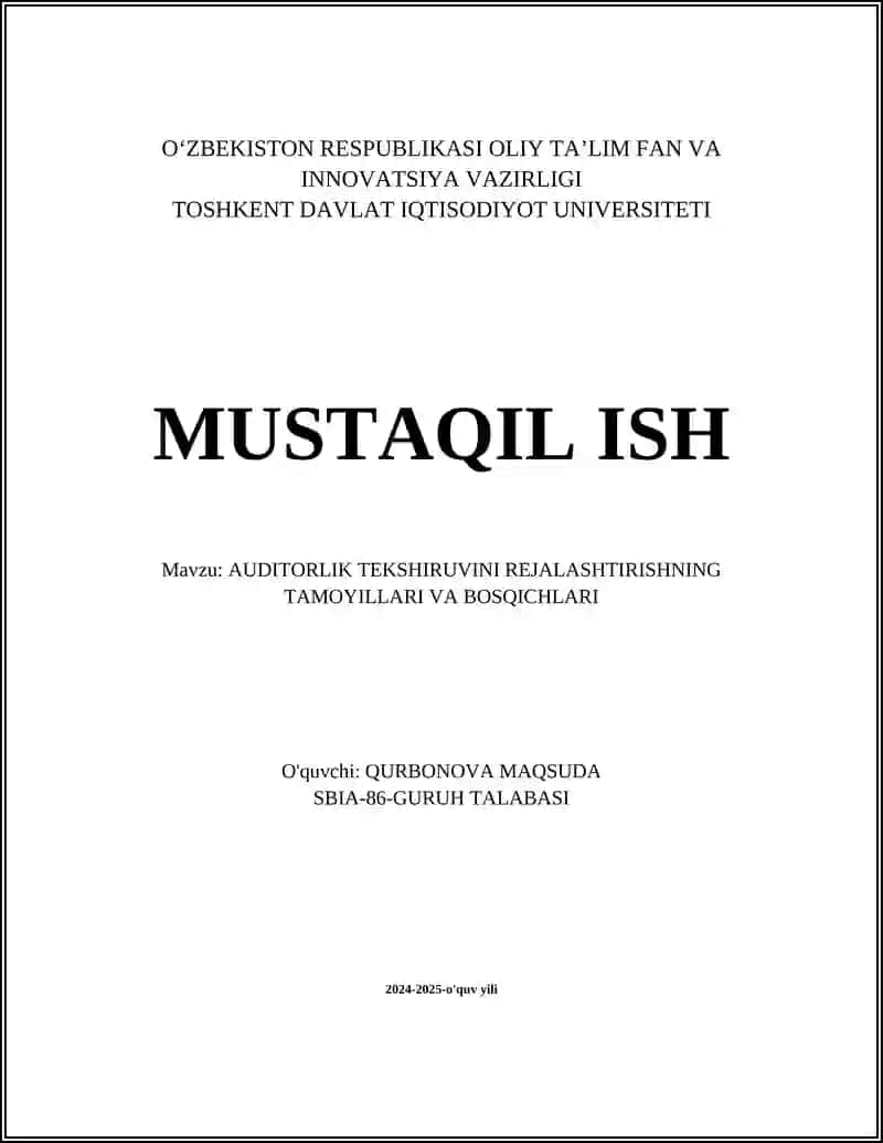 AUDITORLIK TEKSHIRUVINI REJALASHTIRISHNING TAMOYILLARI VA BOSQICHLARI