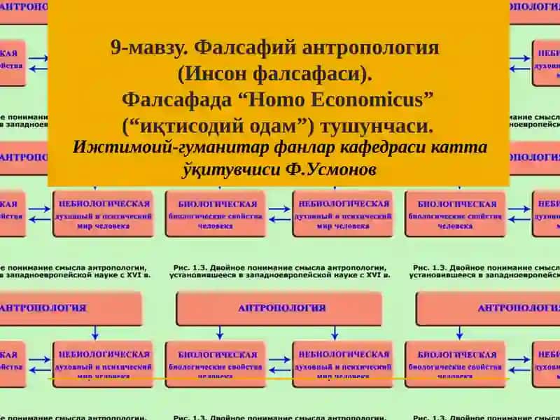 Фалсафий антропология(Инсон фалсафаси)