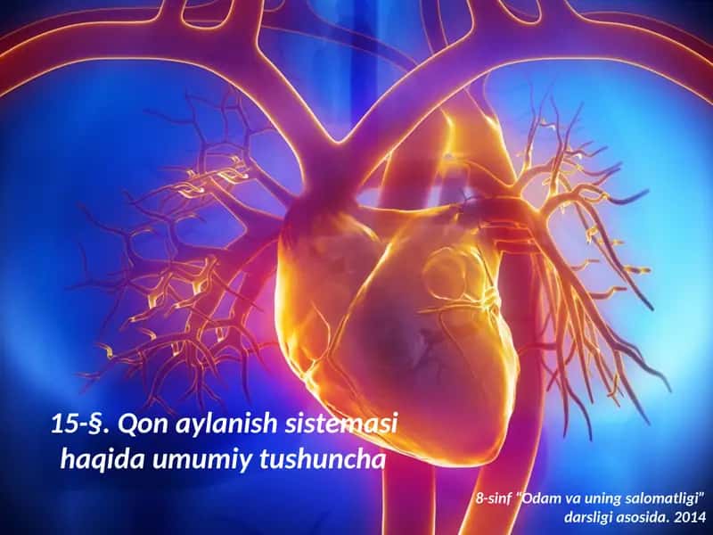 Qonaylanish sistemasi haqida umumiy tushuncha 1