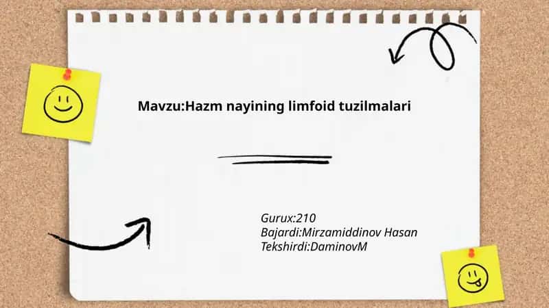 Hazm nayining limfoid tuzilmalari 1