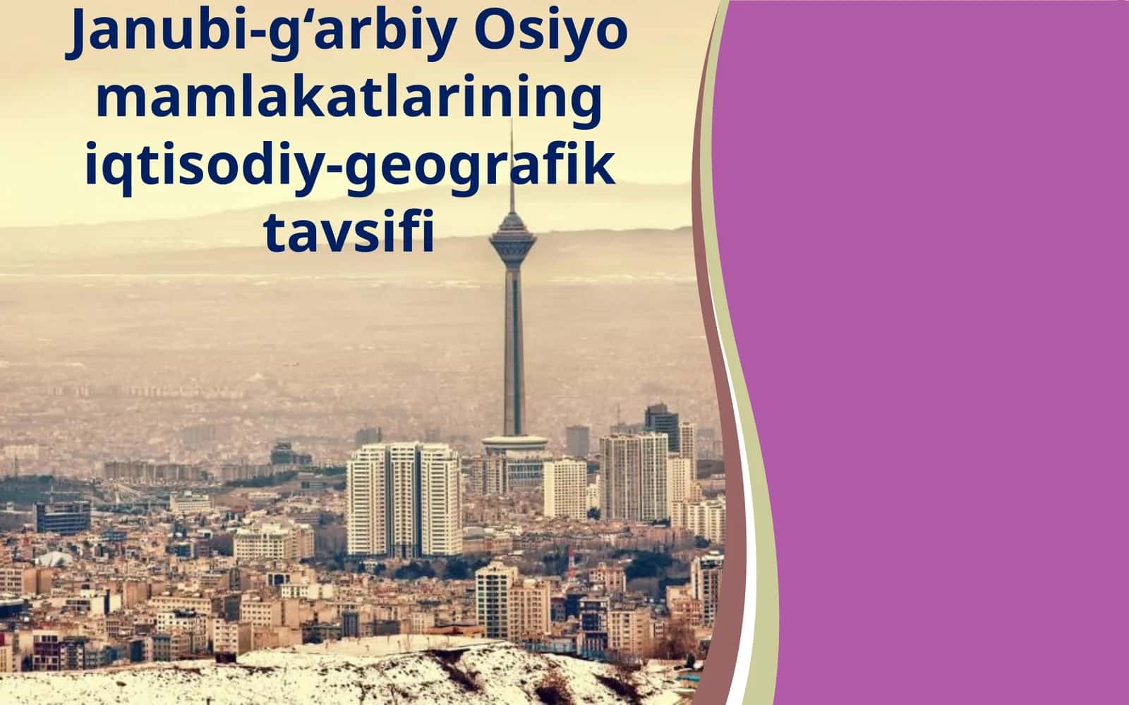 Janubi-g‘arbiy Osiyo mamlakatlariningiqtisodiy-geografik tavsifi 1