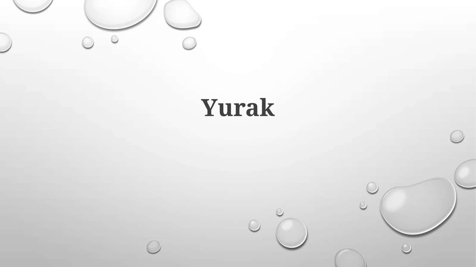 Yurak 1