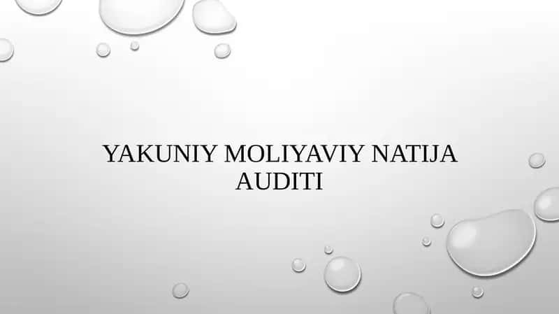 Yakuniy moliyaviy natija auditi 1