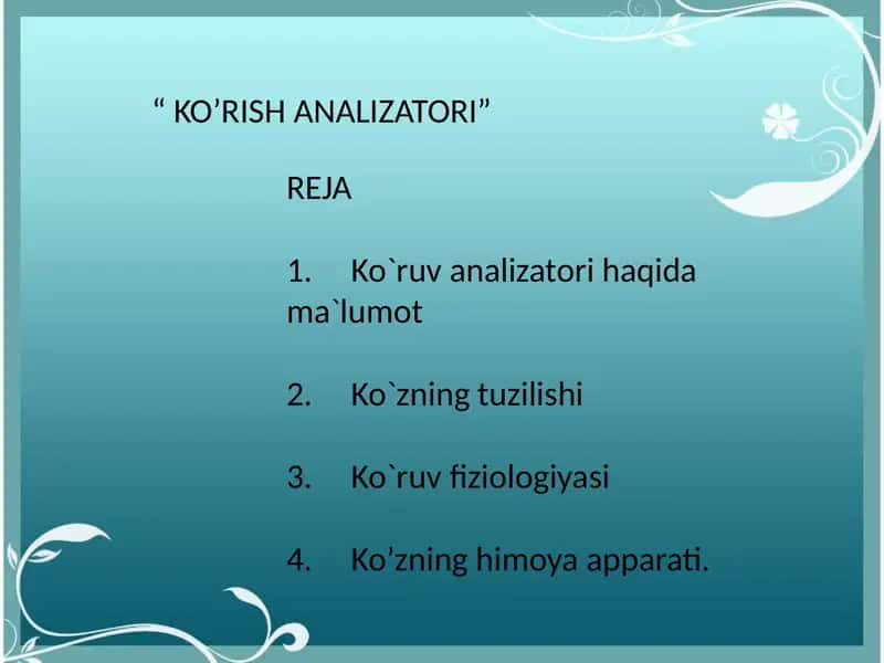 Ko'rish analizatori 1