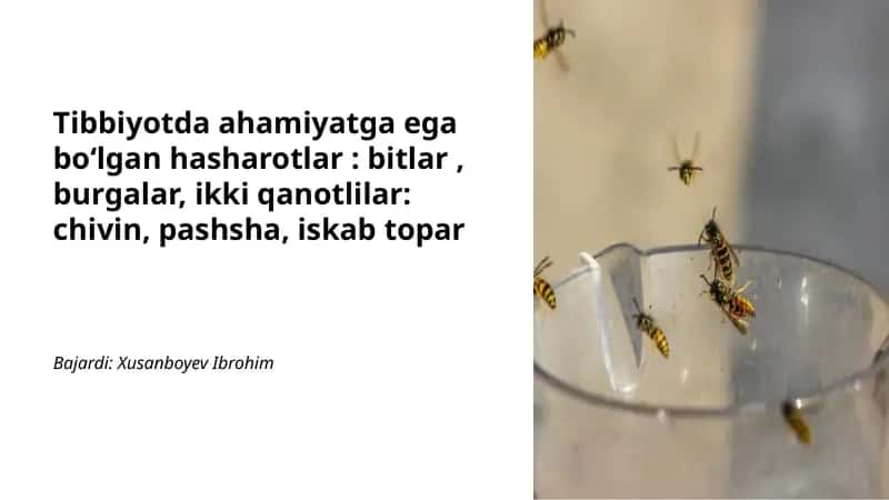 Bitlar va ularning oʻzaro aloqalari 1