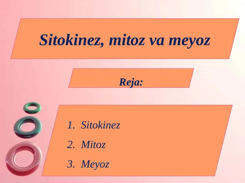 Sitokinez, mitoz va meyoz 1