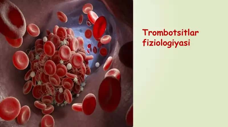 Trombotsitlar fiziologiyasi 1