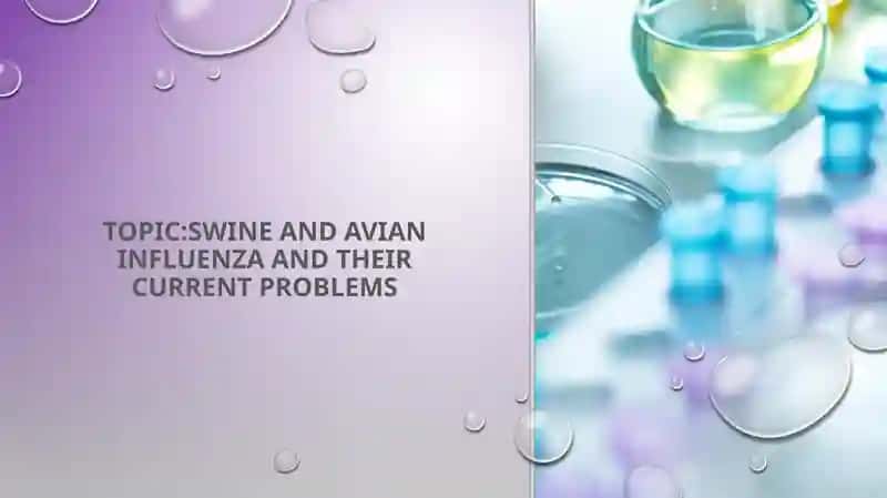 Swine and avian influenza and their current problems