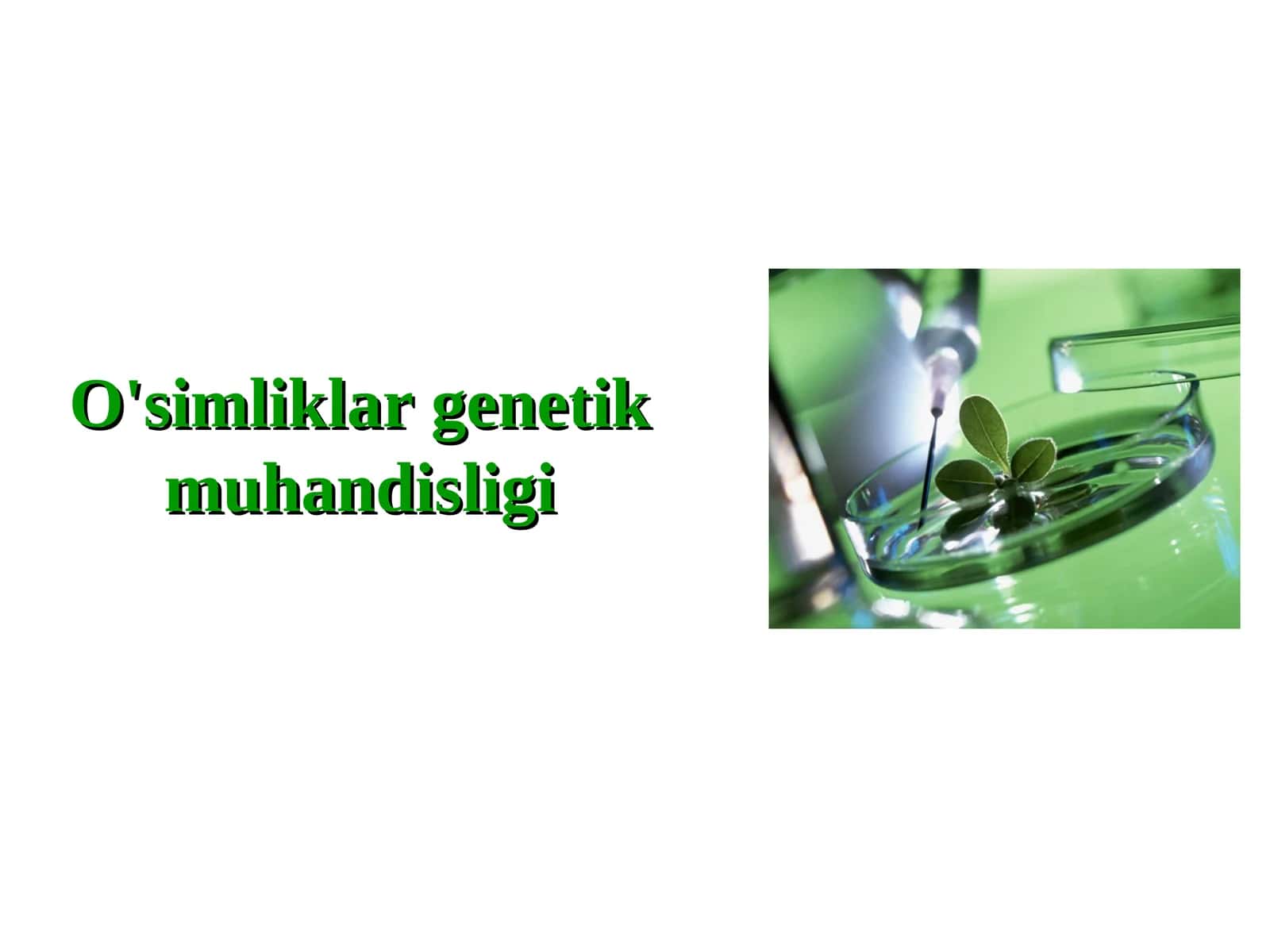O'simliklar genetik muhandisligi 1