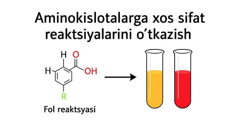Aminokislotalarga xos sifat reaktsiyalari 1