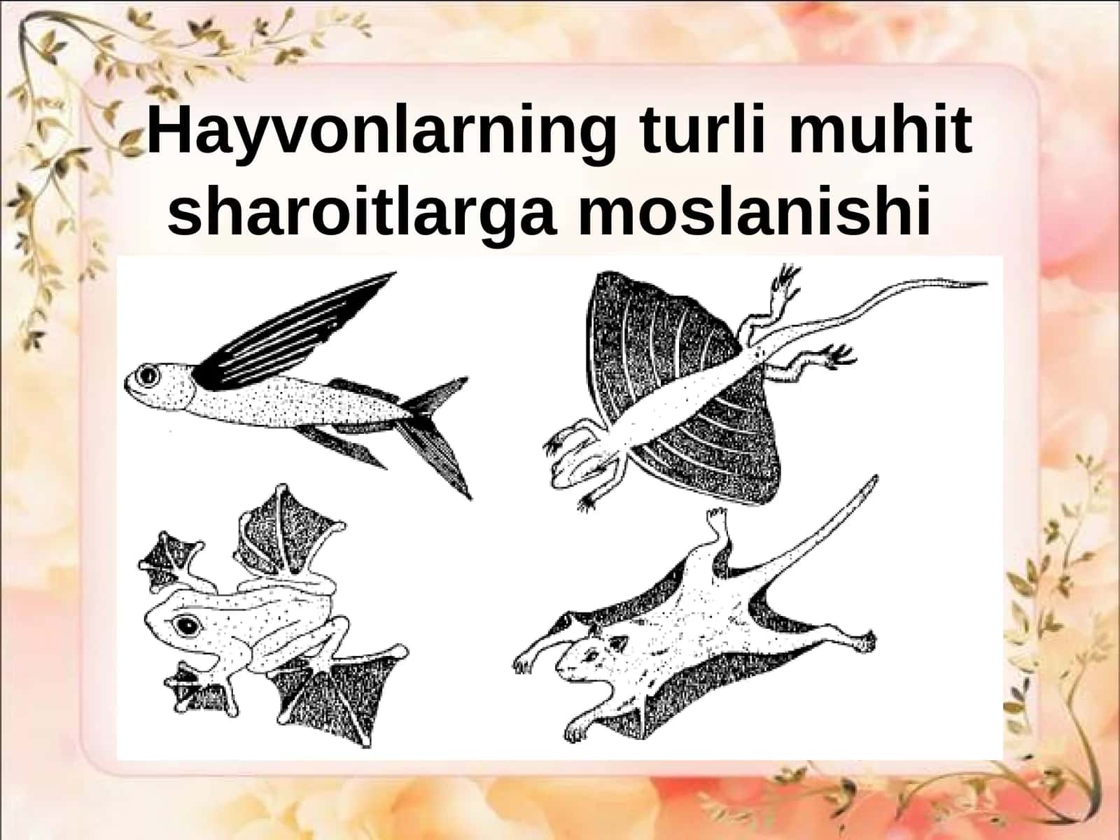 Hayvonlarning turli muhit sharoitlarga moslanishi 1