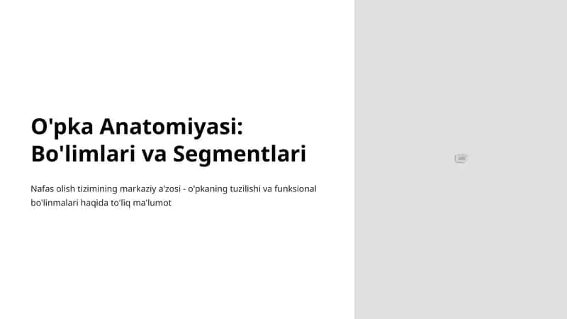 O'pka Anatomiyasi: Bo'limlari va Segmentlari 1