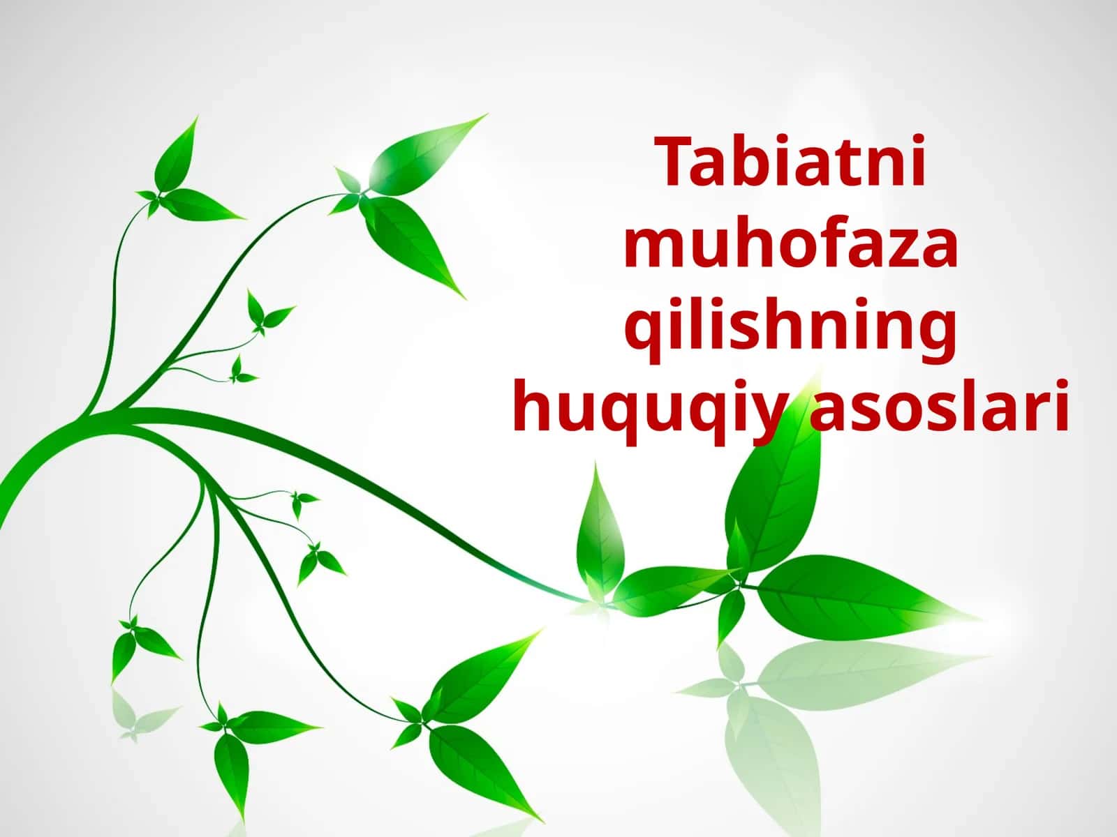 Ekologiya huquqi 1