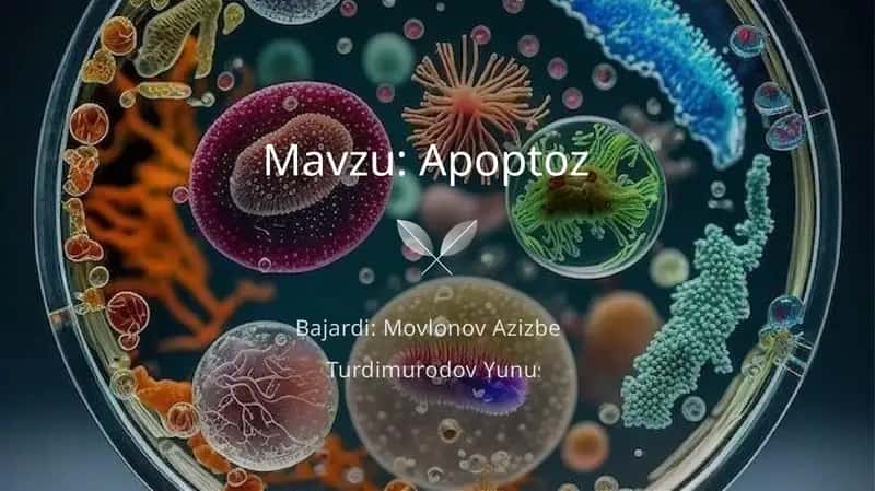 Apoptoz 1