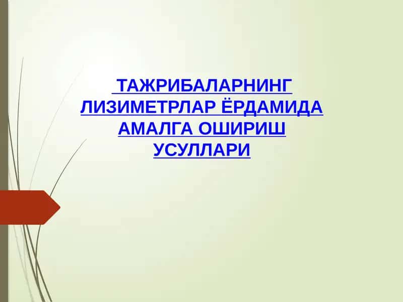 Лизиметр 1