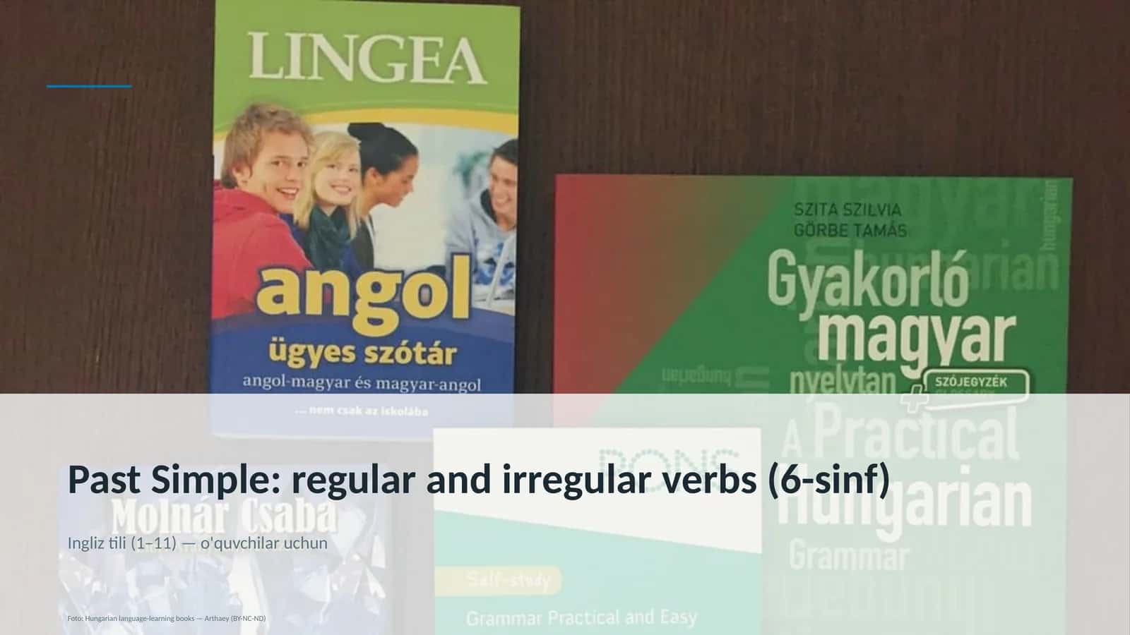 Past Simple: regular and irregular verbs (6-sinf) 1