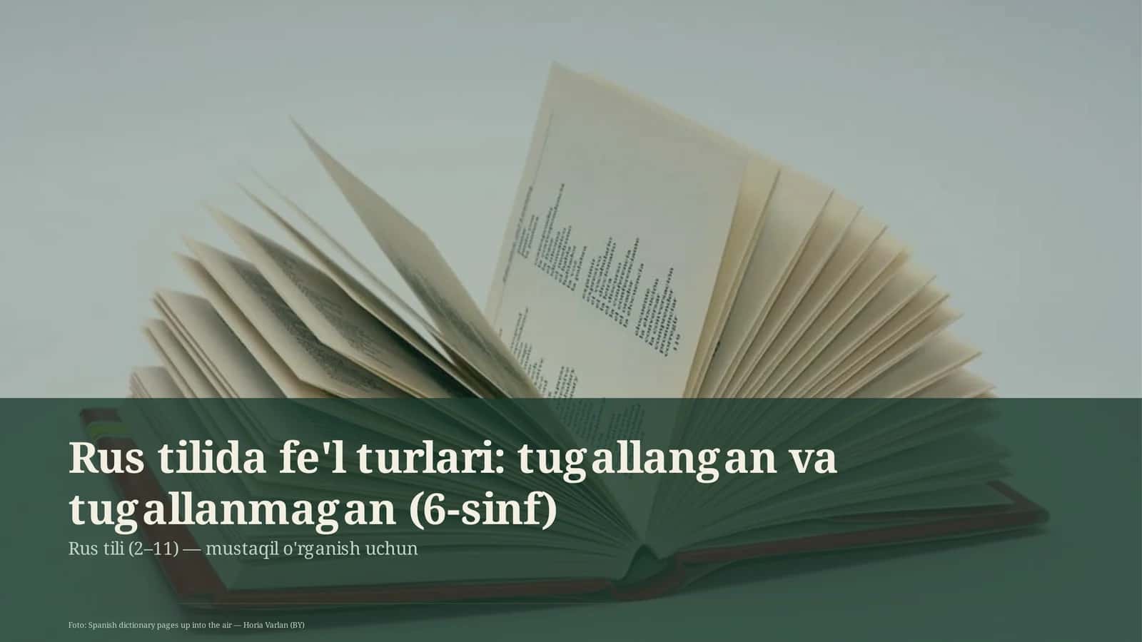 Rus tilida fe'l turlari: tugallangan va tugallanmagan (6-sinf) 1