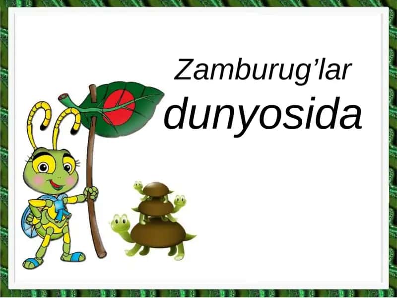 Zamburug’lar dunyosida 1