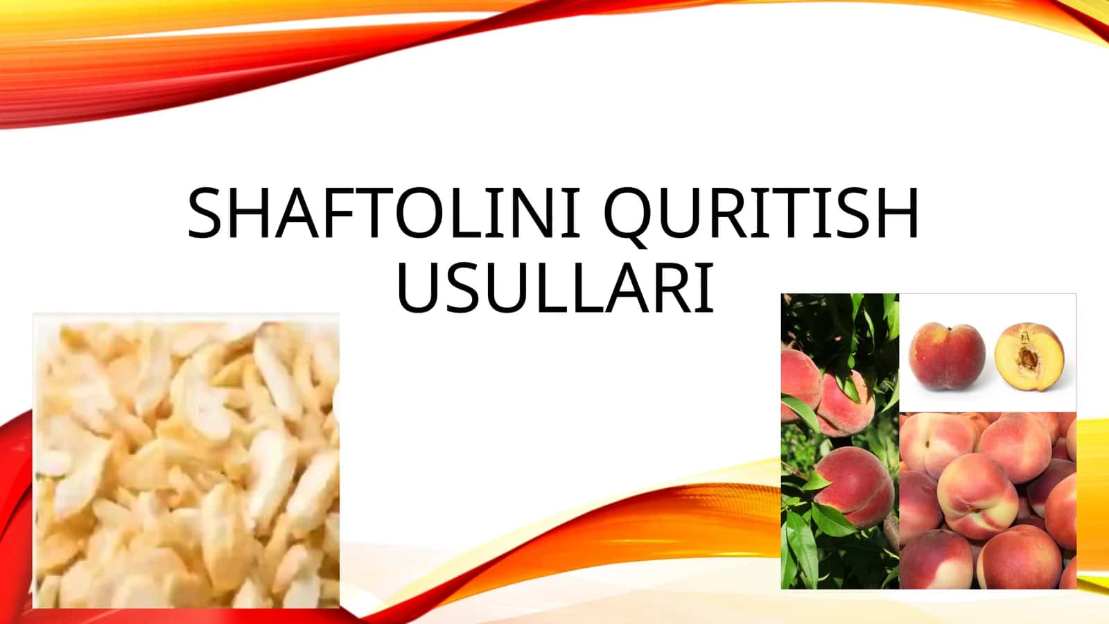 Shaftolini quritish usullari 1