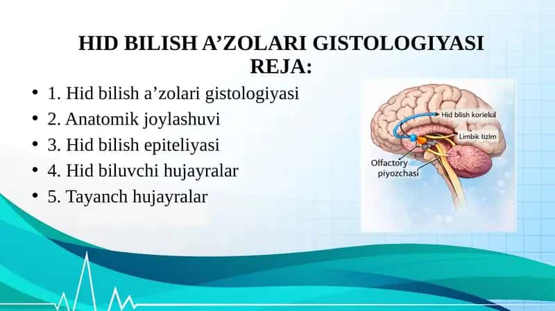 HID BILISH A’ZOLARI GISTOLOGIYASI 1