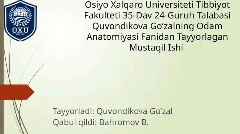 Oyoq Terisining Innervatsiyasi 1