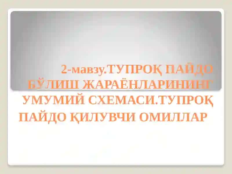 ТУПРОҚ ПАЙДО БЎЛИШ ЖАРАЁНЛАРИНИНГ УМУМИЙ СХЕМАСИ