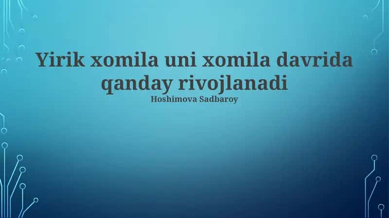 Homila rivojlanishi 1