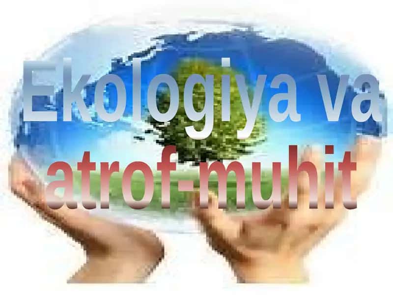 Ekologiya va atrof-muhit 1
