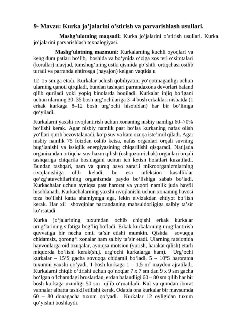 Kurka jo’jalarini o’stirish va parvarishlash usullari 1