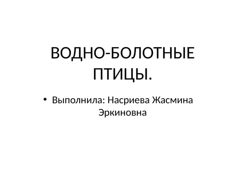 ВОДНО-БОЛОТНЫЕ ПТИЦЫ 1