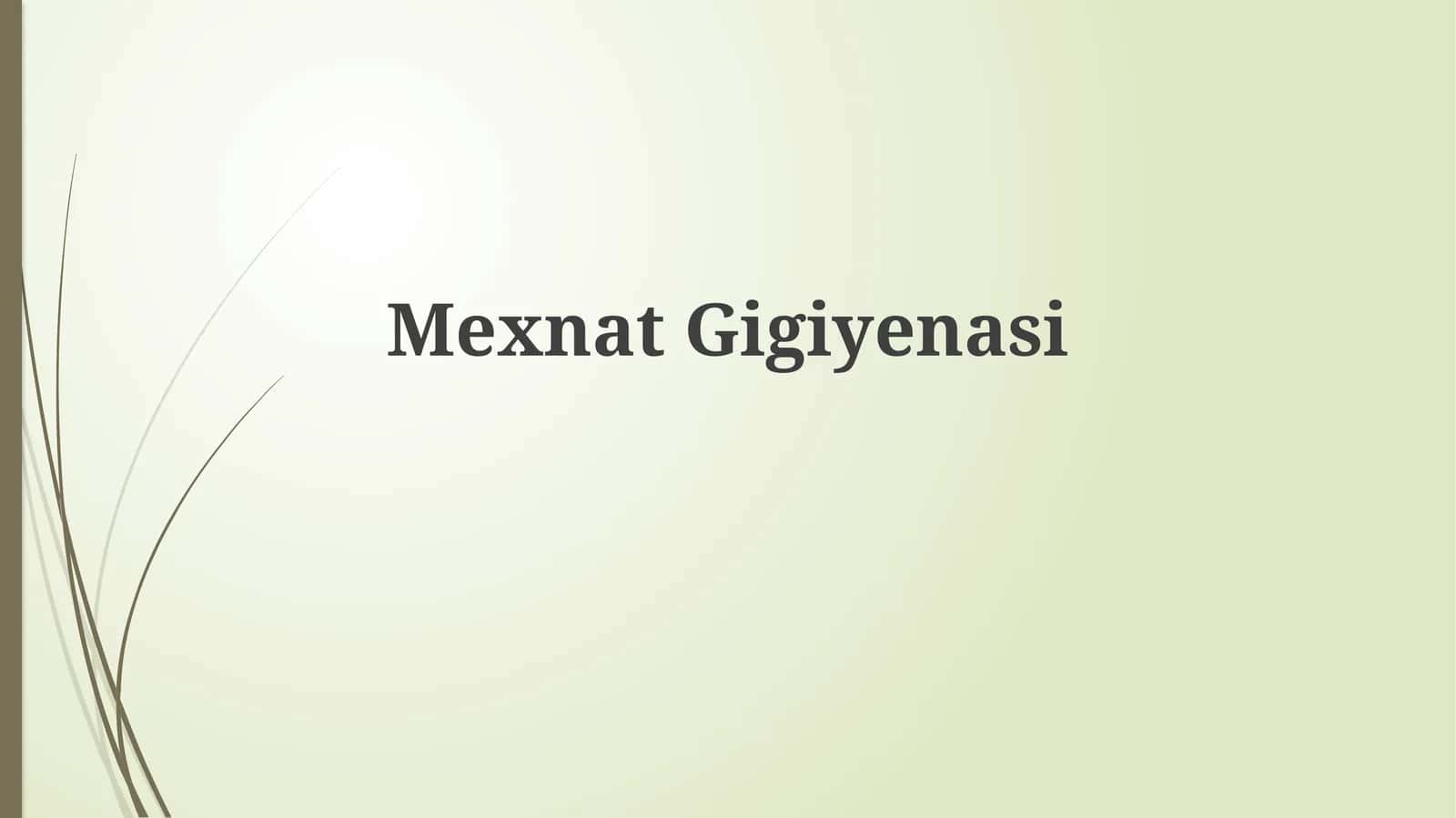 MexnatGigiyenasi 1