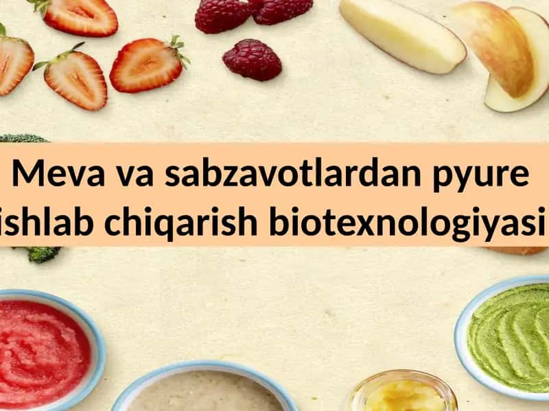 Meva va sabzavotlardan pyure ishlab chiqarish biotexnologiyasi 1