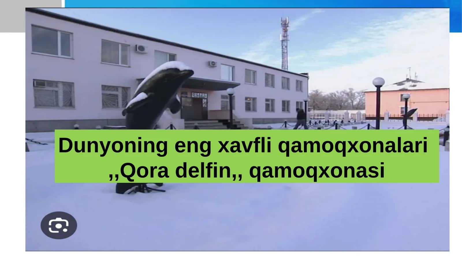 Qora delfin 1