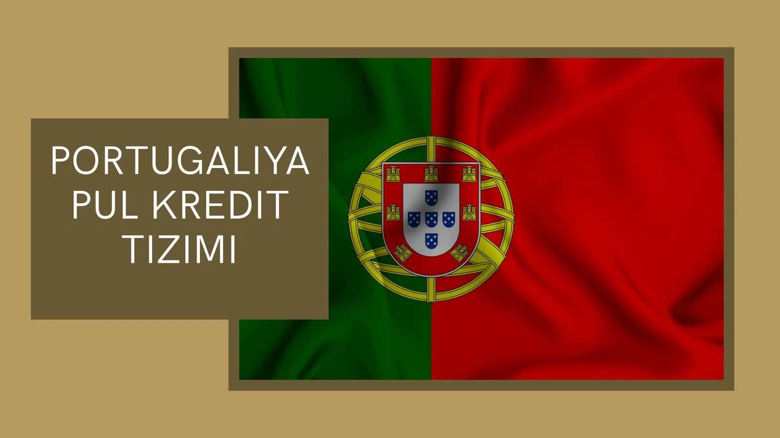 Portugaliya Pul Kredit Tizimi 1