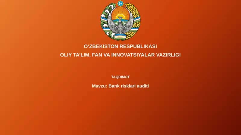 Bankrisklariauditi 1