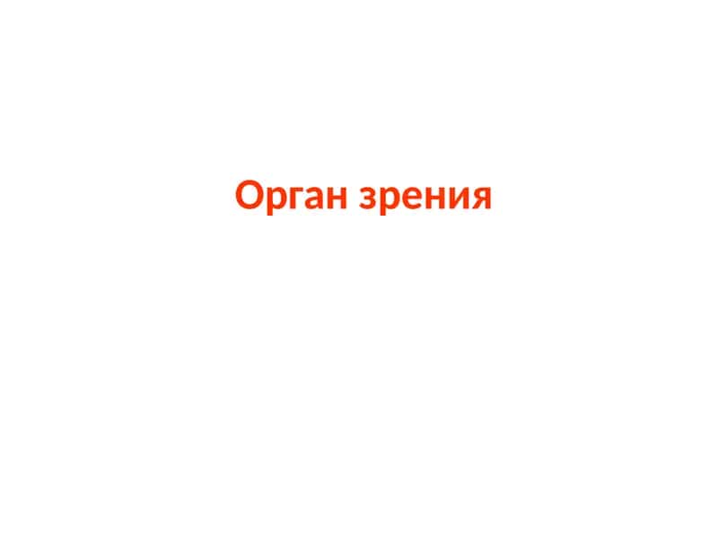 Орган зрения 1
