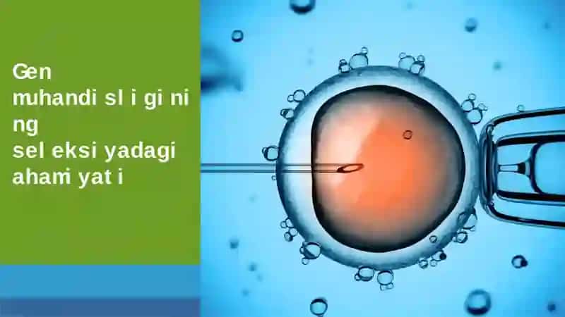 Genmuhandisliginingseleksiyadagiahamiyati