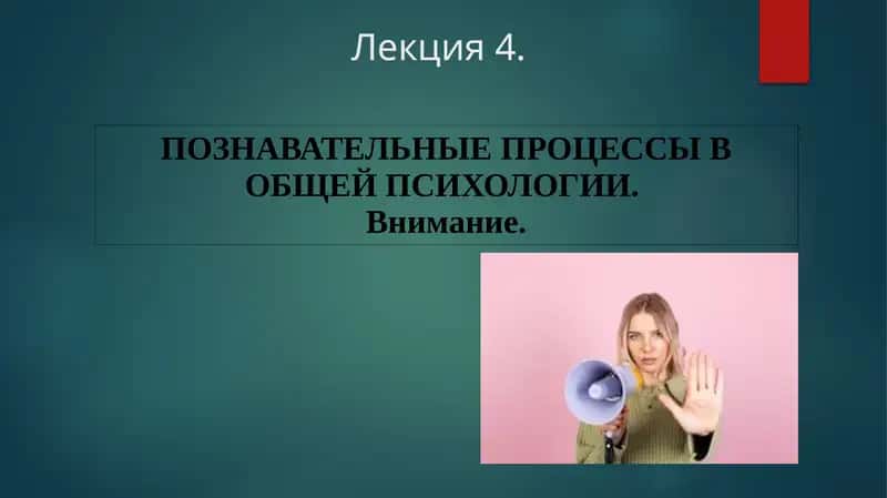 Познавательные процессы в общей психологии 1