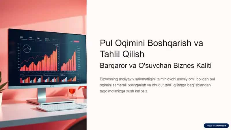Pul Oqimini Boshqarish va Tahlil Qilish 1