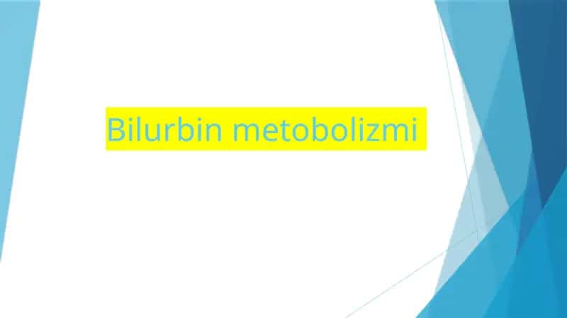 Bilurbin metobolizmi 1