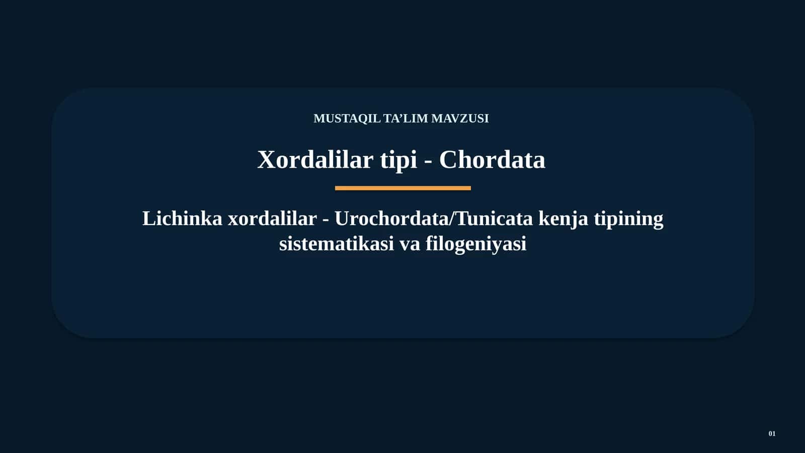 UROCHORDATA / TUNICATA 1