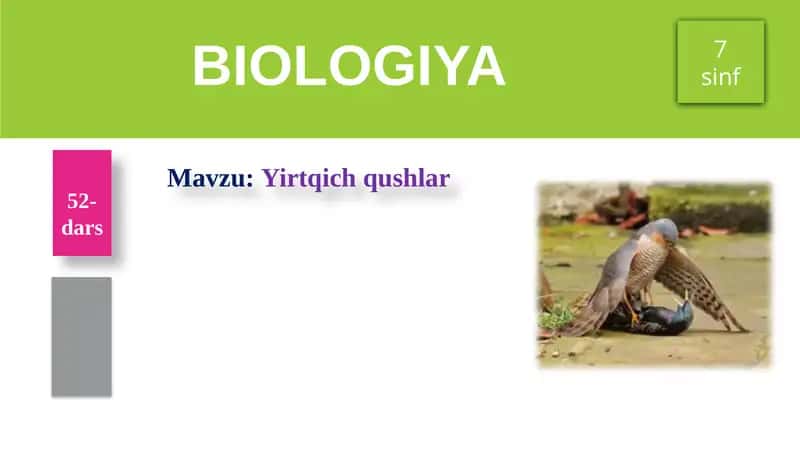 Yirtqichqushlar 1