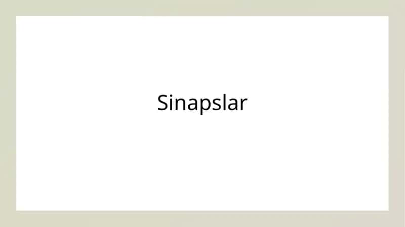 Sinapslar 1