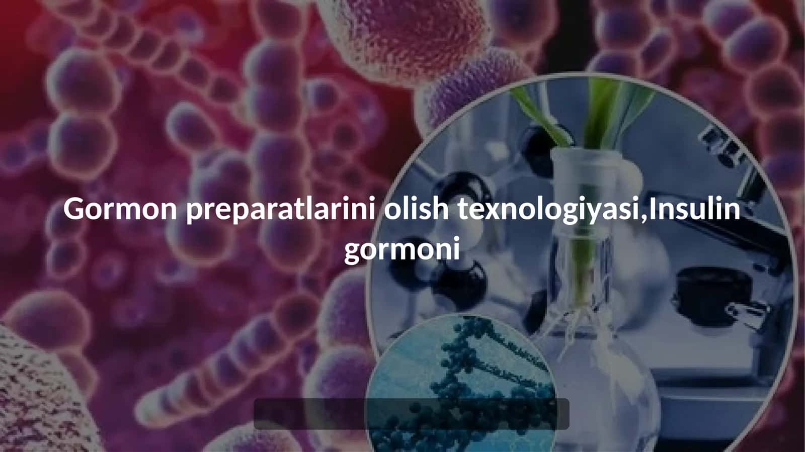 Insulin gormoni 1